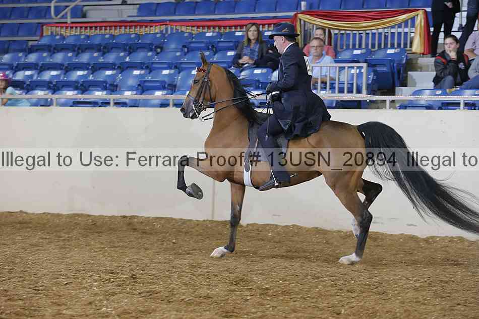 Proof 13usn_20894