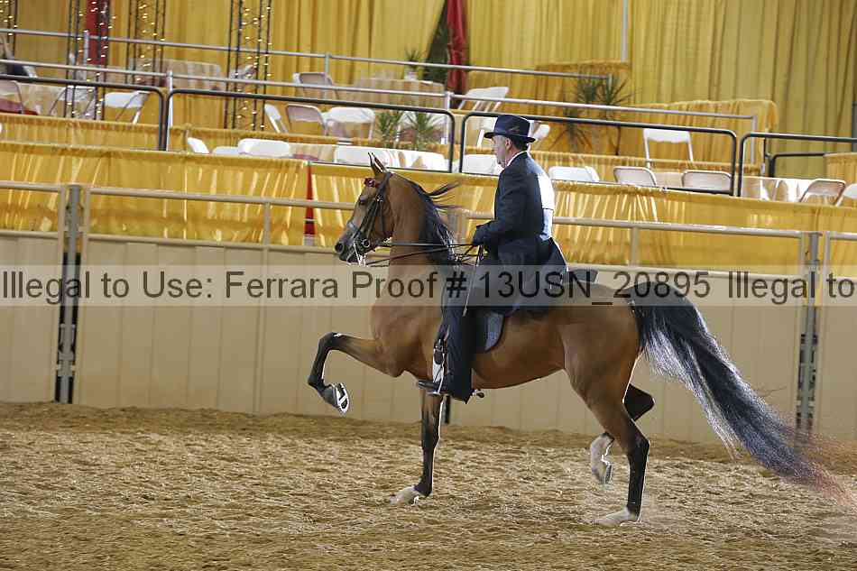Proof 13usn_20895
