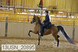 13usn_20895 proof