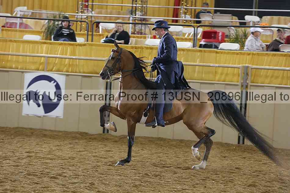 Proof 13usn_20896