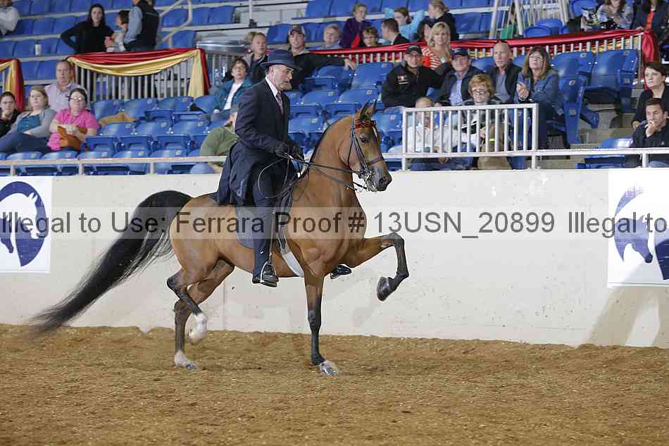 Proof 13usn_20899