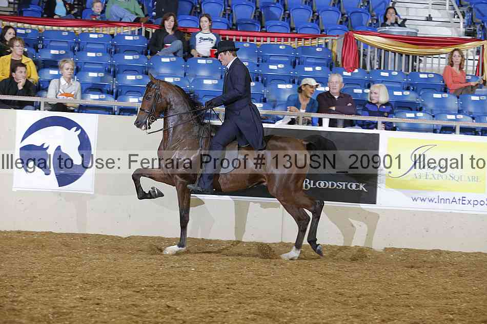 Proof 13usn_20901