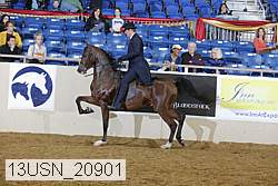 13usn_20901 proof