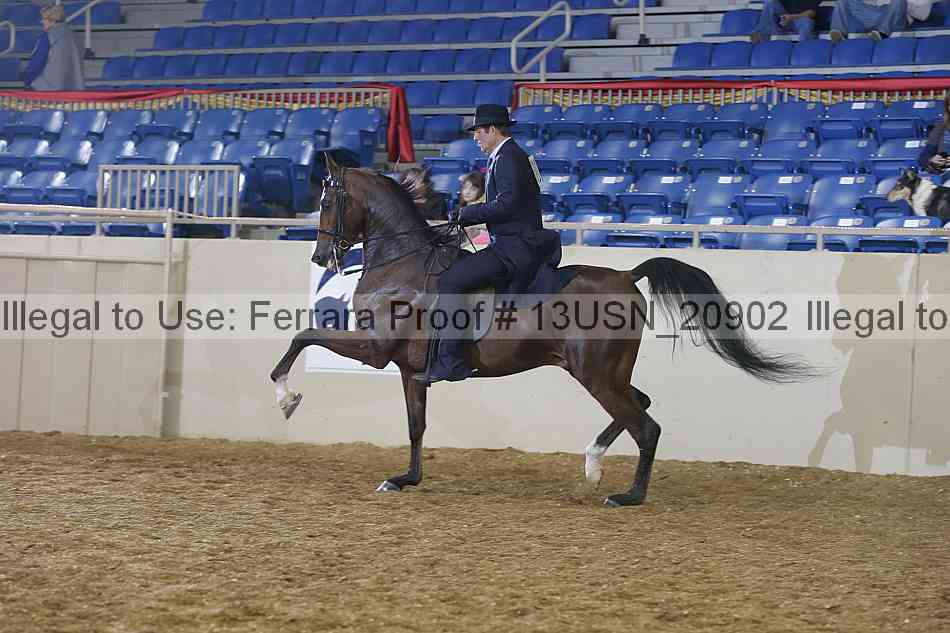 Proof 13usn_20902