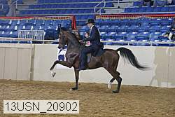 13usn_20902 proof