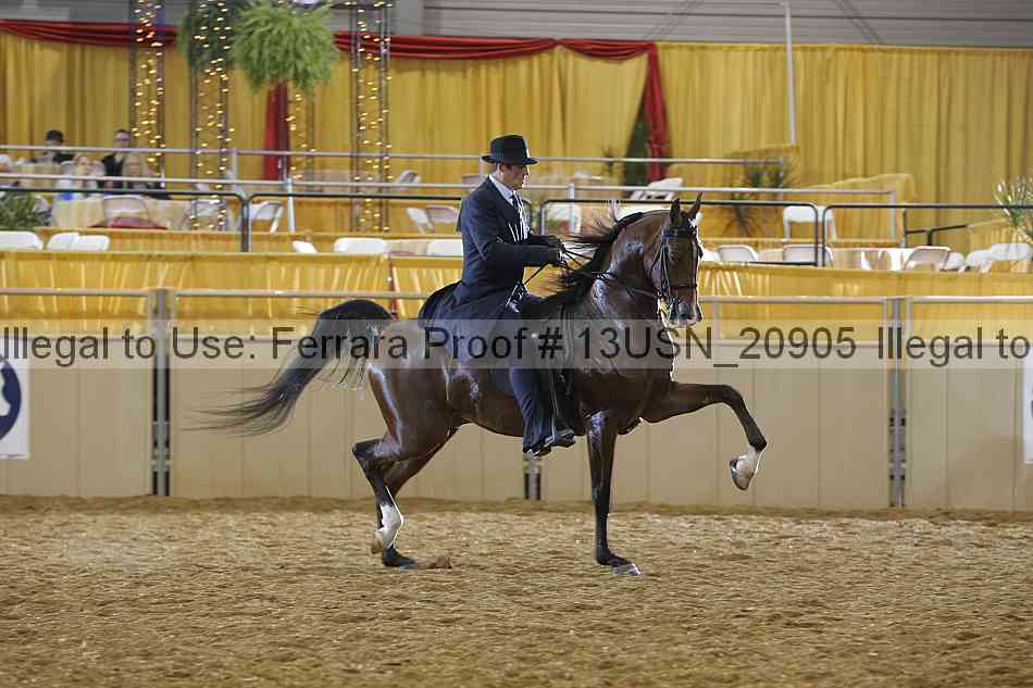 Proof 13usn_20905