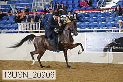 13usn_20906 proof