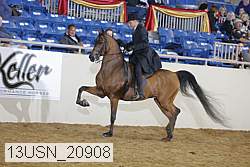 13usn_20908 proof