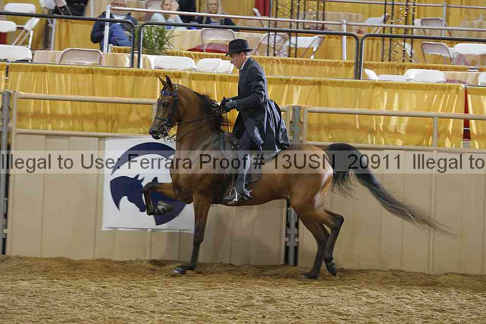 Proof 13usn_20911