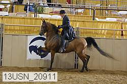 13usn_20911 proof