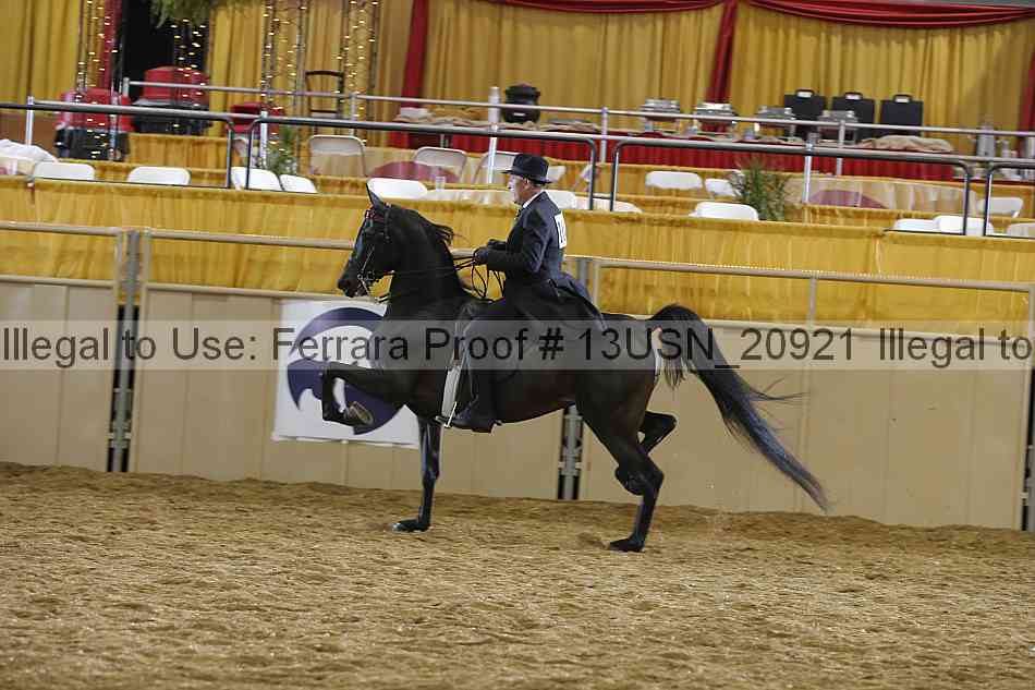 Proof 13usn_20921