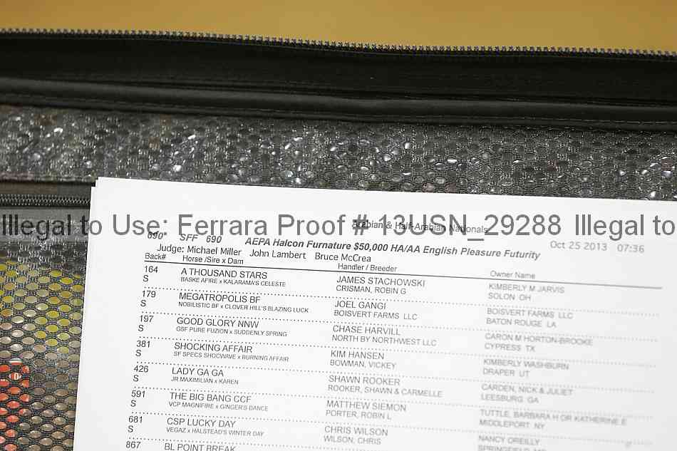 Proof 13usn_29288