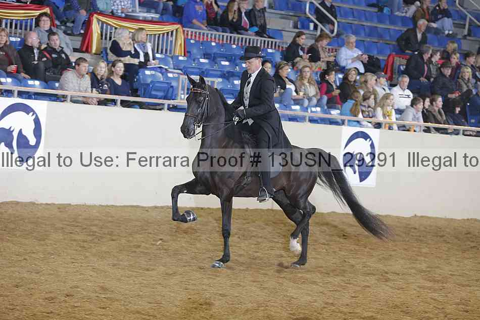 Proof 13usn_29291