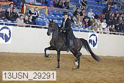 13usn_29291 proof