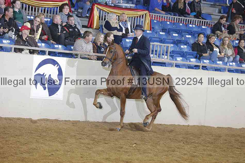 Proof 13usn_29294