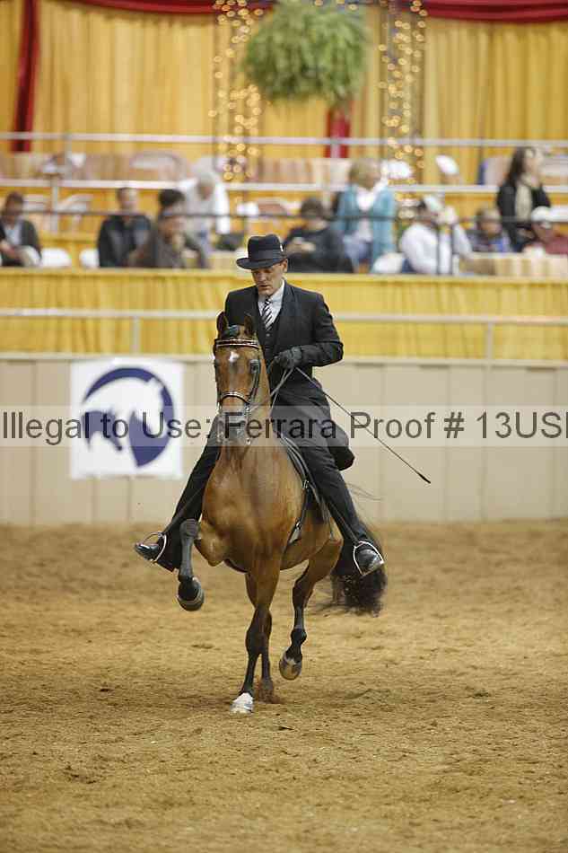 Proof 13usn_29296