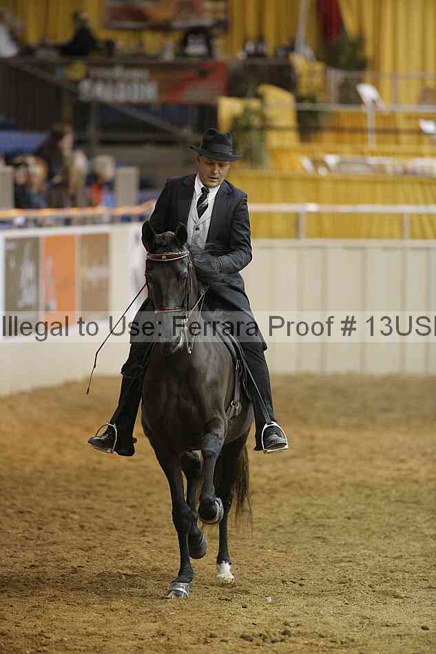 Proof 13usn_29302