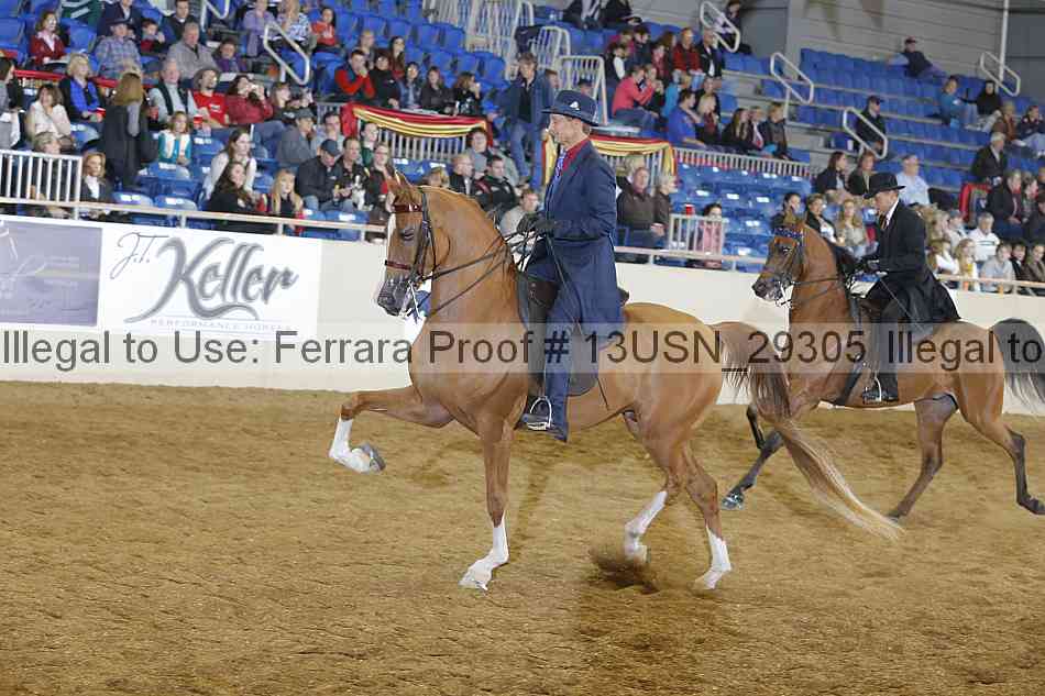 Proof 13usn_29305