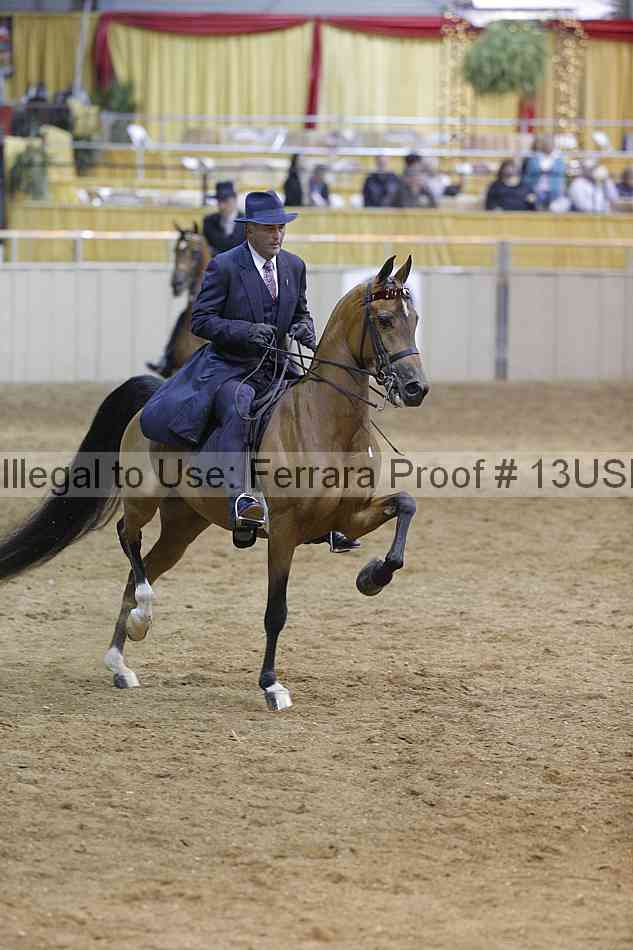 Proof 13usn_29308