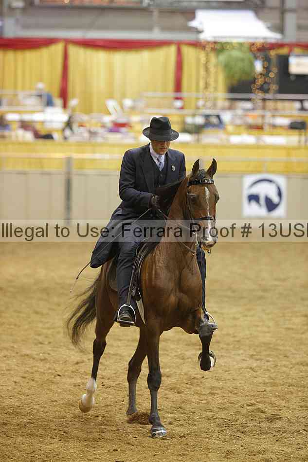 Proof 13usn_29311