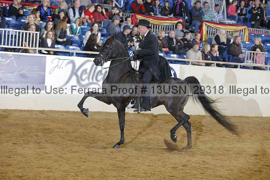 Proof 13usn_29318