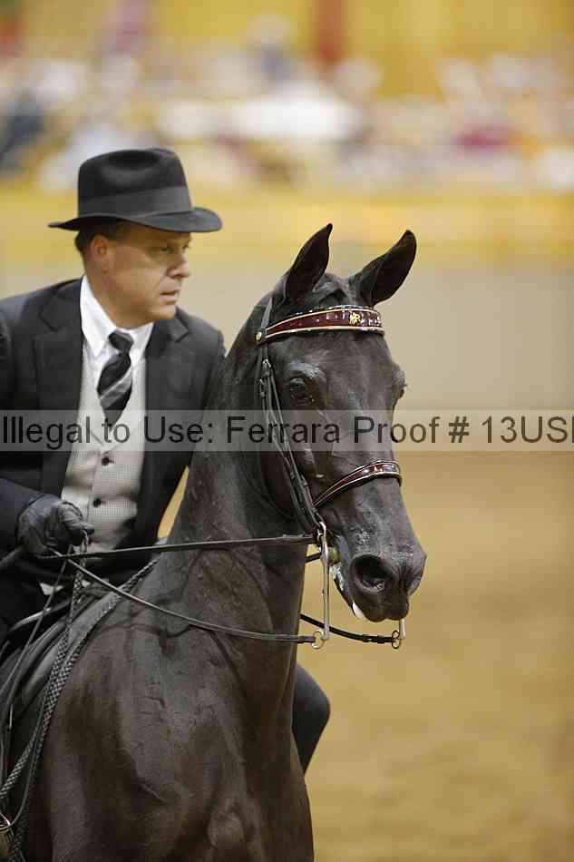 Proof 13usn_29324