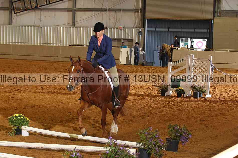 Proof 13usn_09099