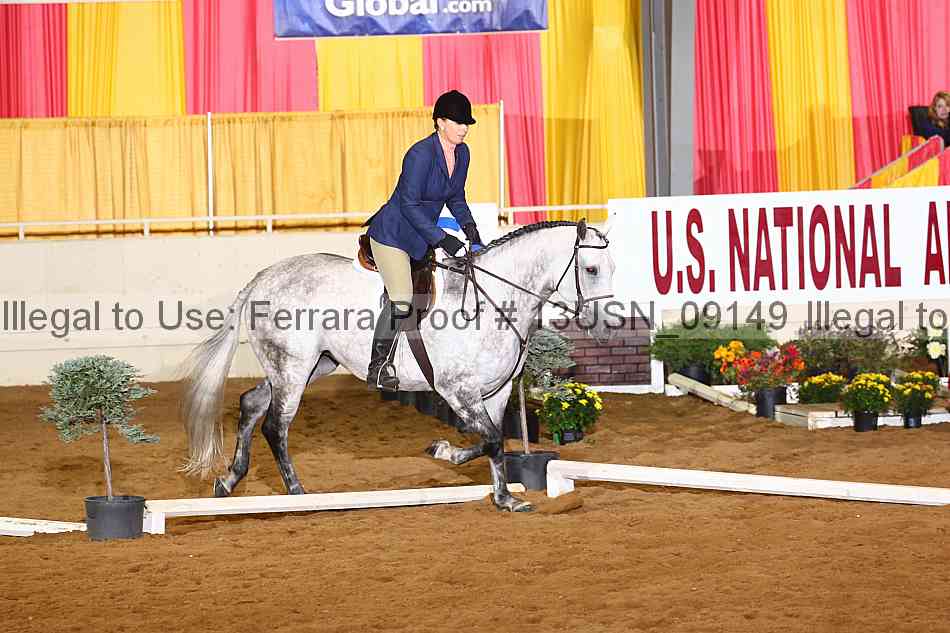 Proof 13usn_09149