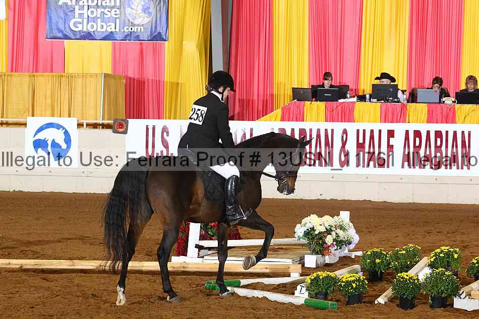 Proof 13usn_11761