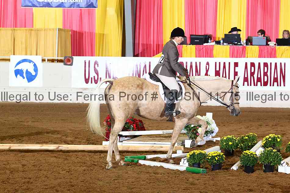 Proof 13usn_11775
