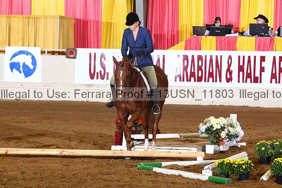 Proof 13usn_11803