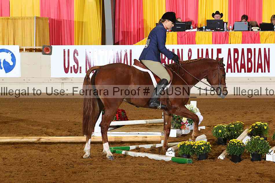 Proof 13usn_11805
