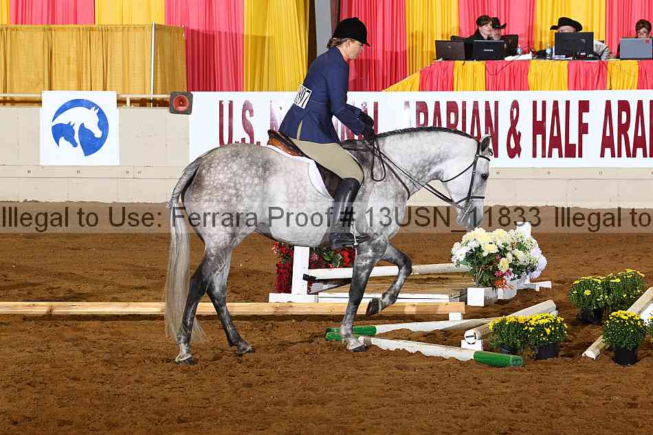 Proof 13usn_11833