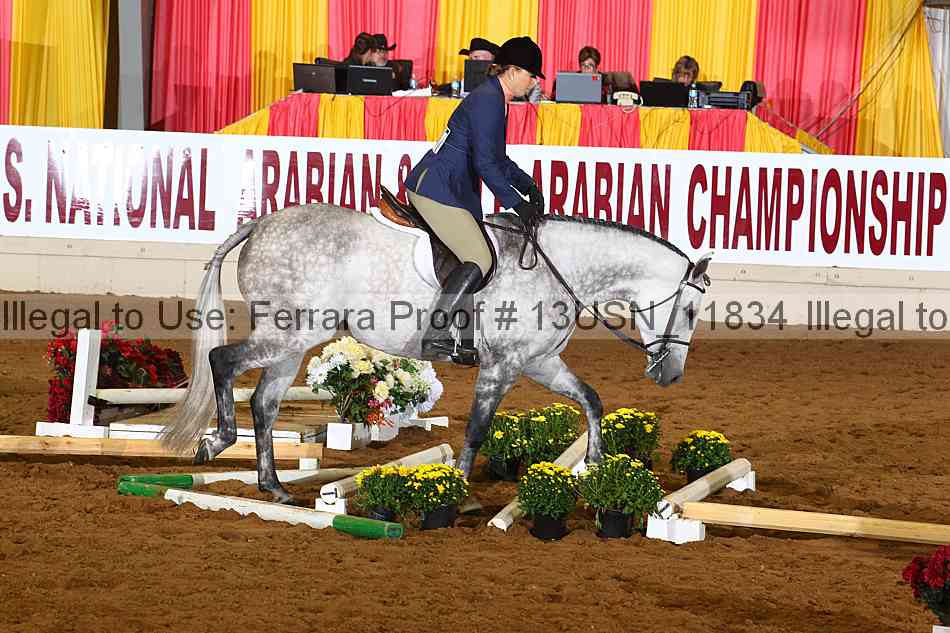Proof 13usn_11834