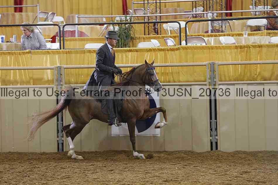 Proof 13usn_20736