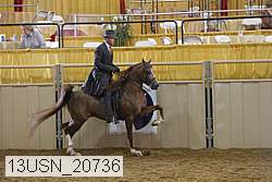 13usn_20736 proof