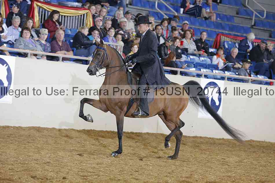 Proof 13usn_20744
