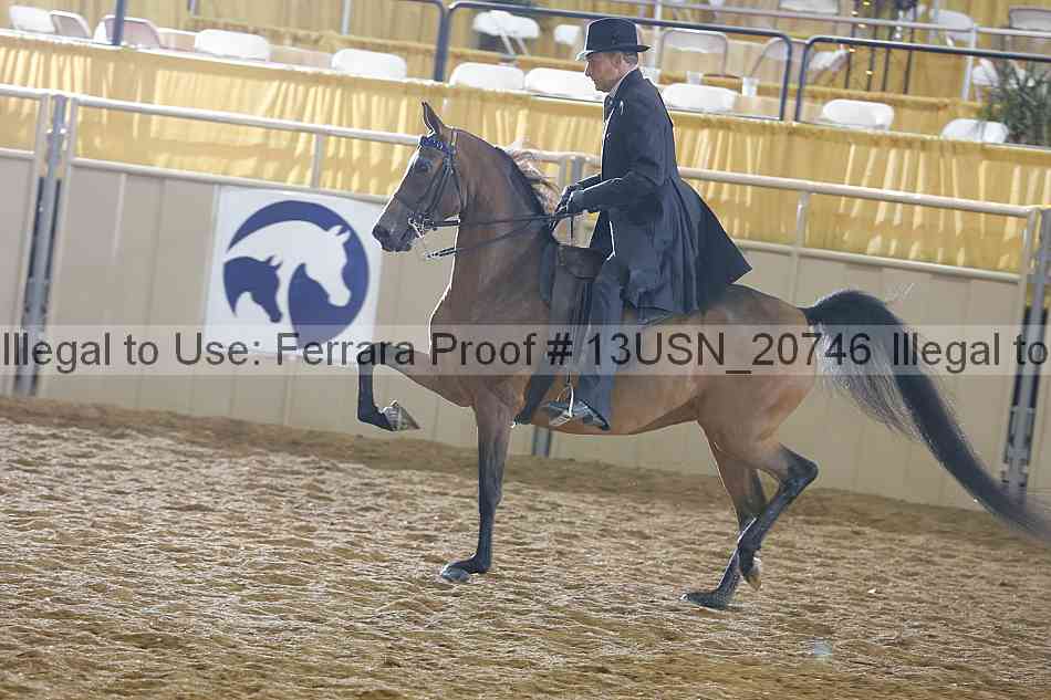 Proof 13usn_20746