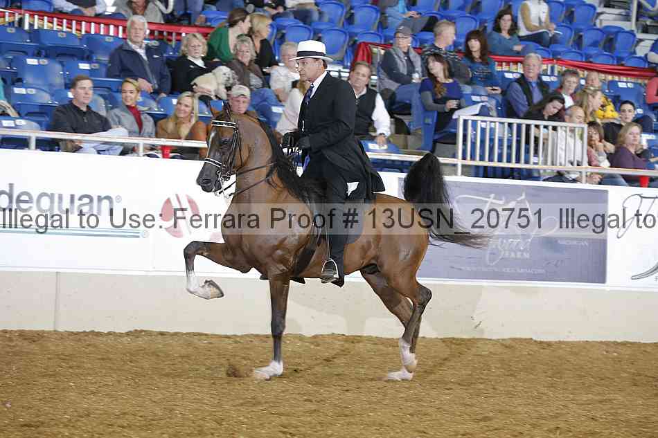 Proof 13usn_20751