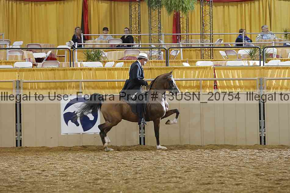 Proof 13usn_20754
