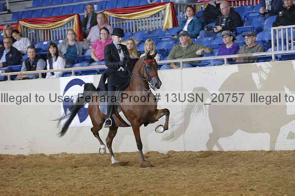 Proof 13usn_20757