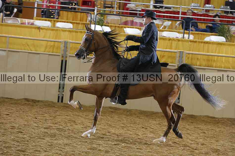 Proof 13usn_20760