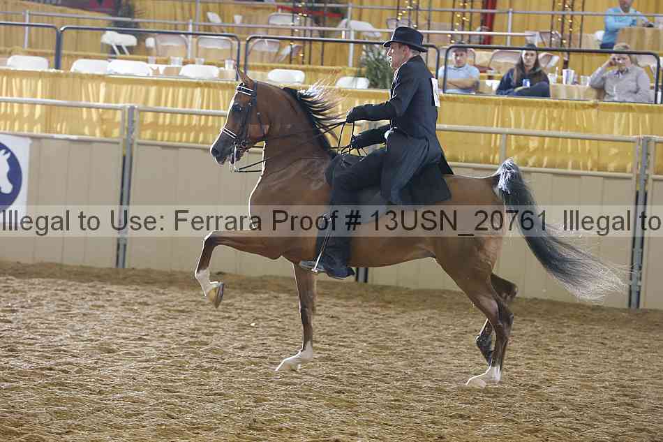 Proof 13usn_20761