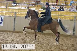 13usn_20761 proof