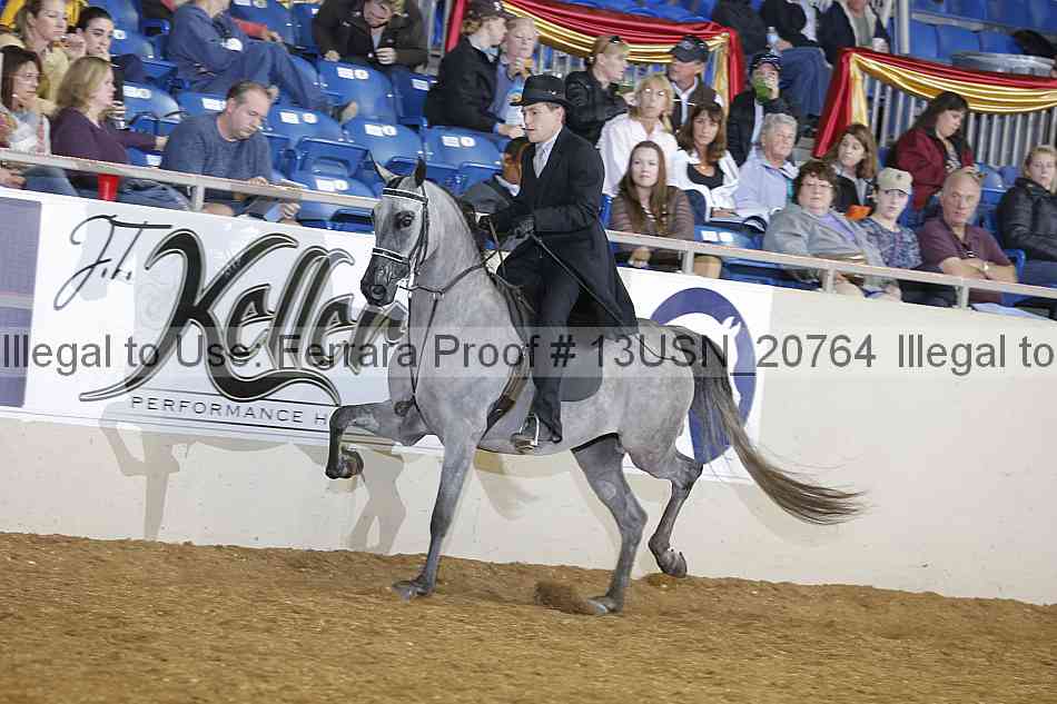 Proof 13usn_20764