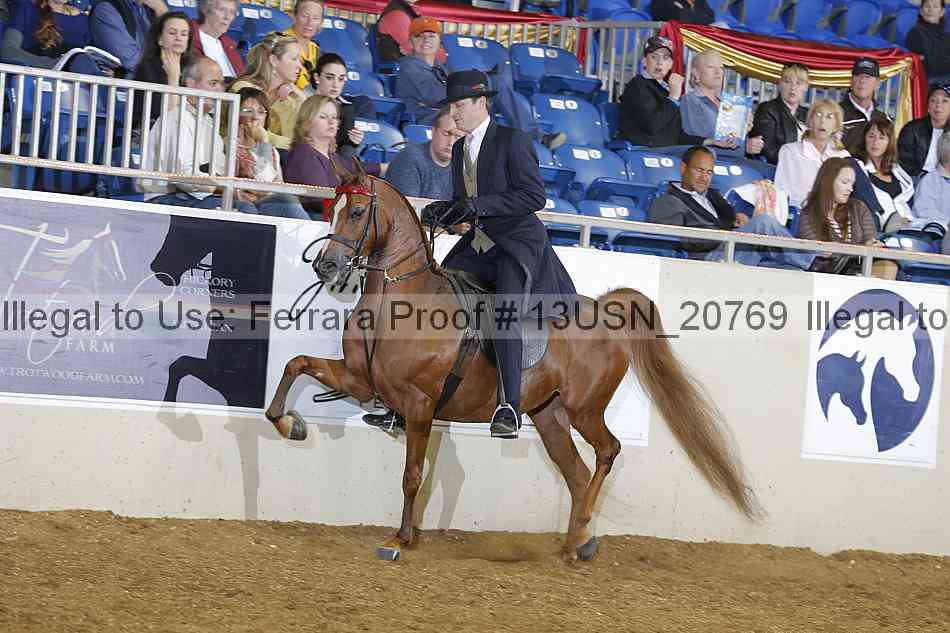Proof 13usn_20769