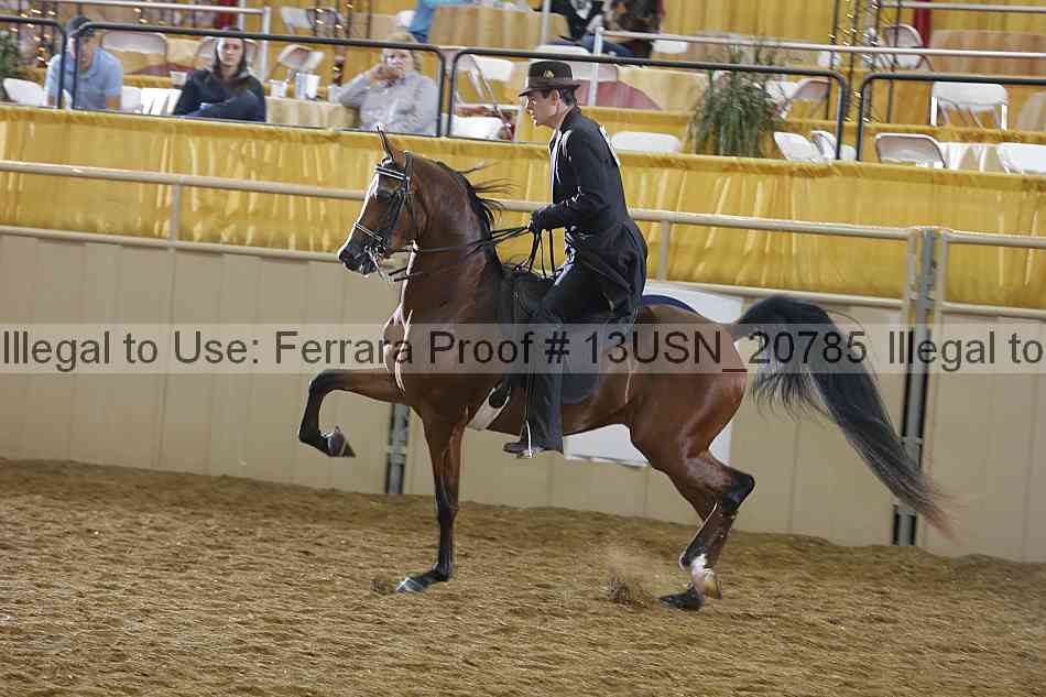 Proof 13usn_20785