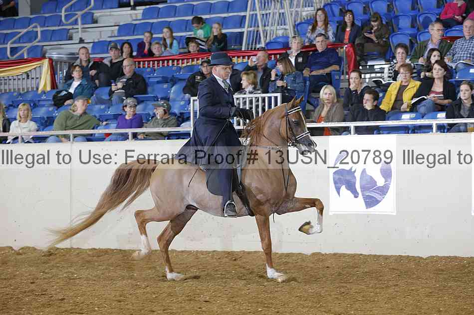 Proof 13usn_20789