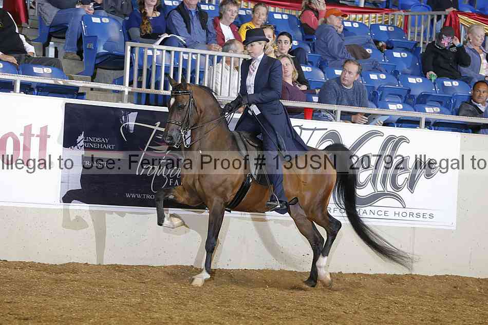 Proof 13usn_20792