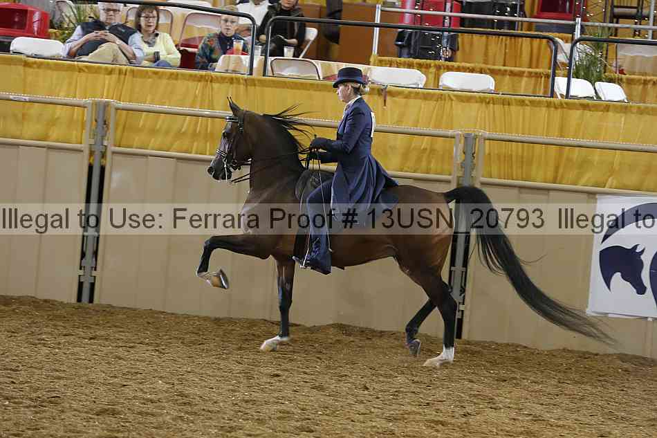 Proof 13usn_20793